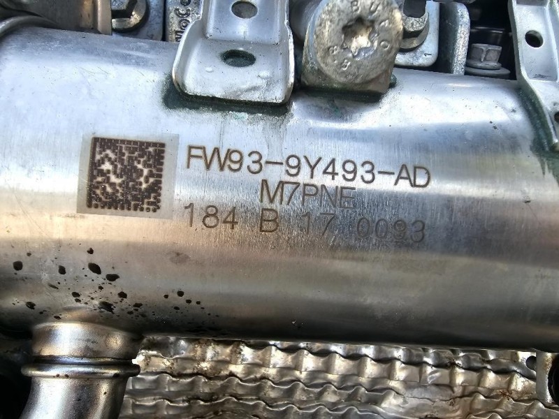 Cofano ANT 651007101R Renault CLIO V 2019