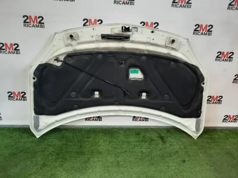 Cofano ANT 651000024R Renault Koleos I 2008