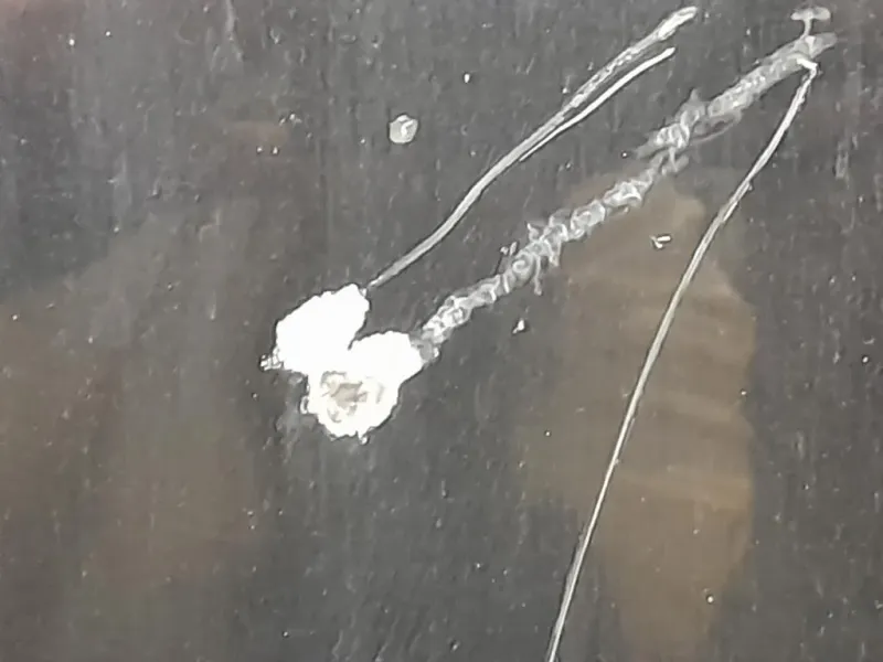 Cofano ANT 651009018R Renault Mégane III 2009