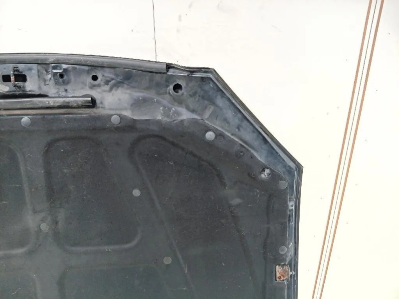 Cofano ANT 6101109111 Ssangyong Kyron 2005