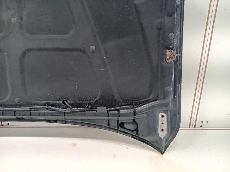 Cofano ANT 6101109111 Ssangyong Kyron 2005