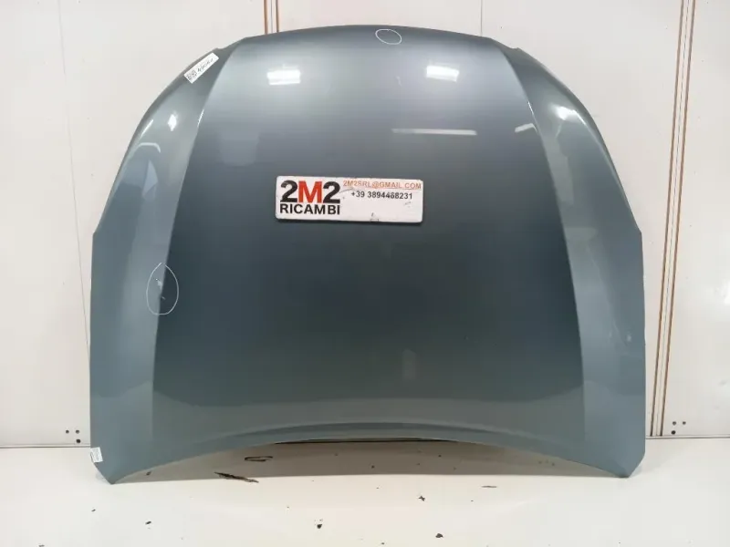 Cofano ANT 57229AJ0219P Subaru Outback III 2009