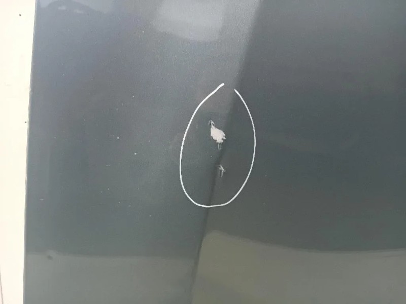 Cofano ANT 57229AJ0219P Subaru Outback III 2009