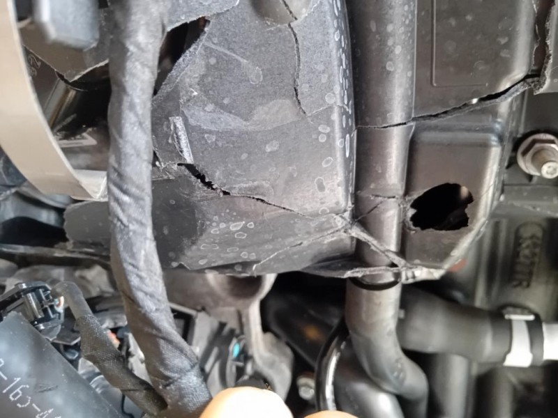 Cofano ANT 5330142080 Toyota RAV 4 III 2006