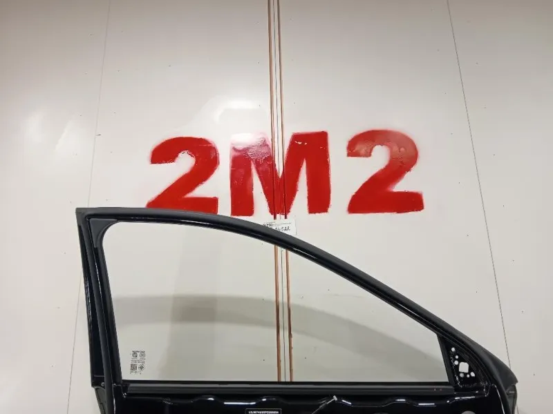 Porta ANT SX 10318335SEPP Mg ZS II 2020