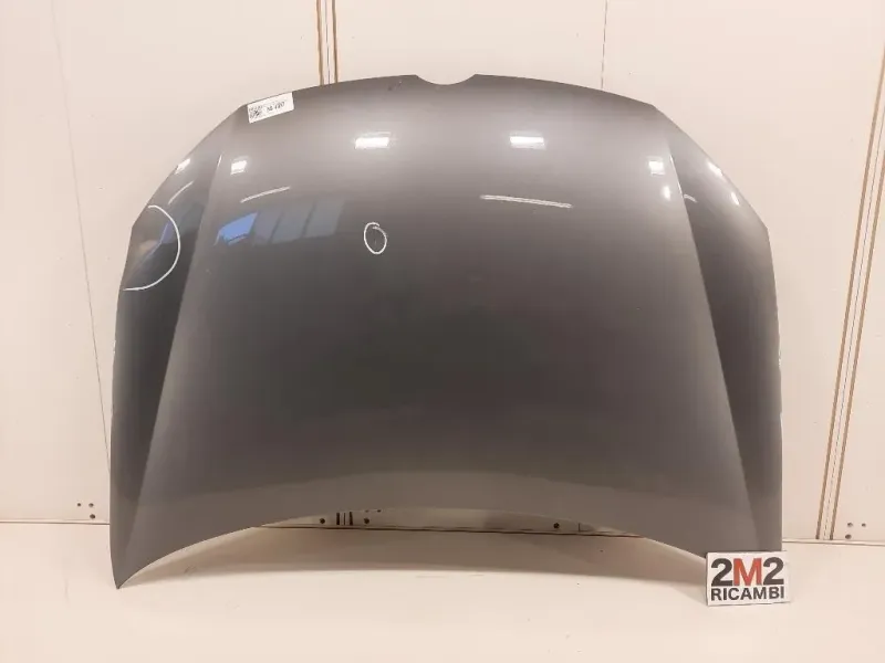 Cofano ANT 5K0823031F Volkswagen GOLF VI 2009