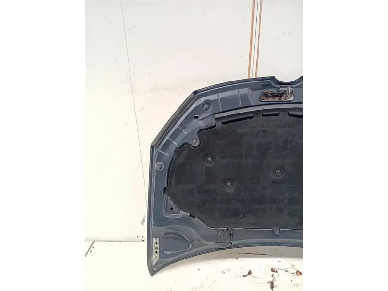 Cofano ANT COFANO ANT Volkswagen GOLF VI 2009