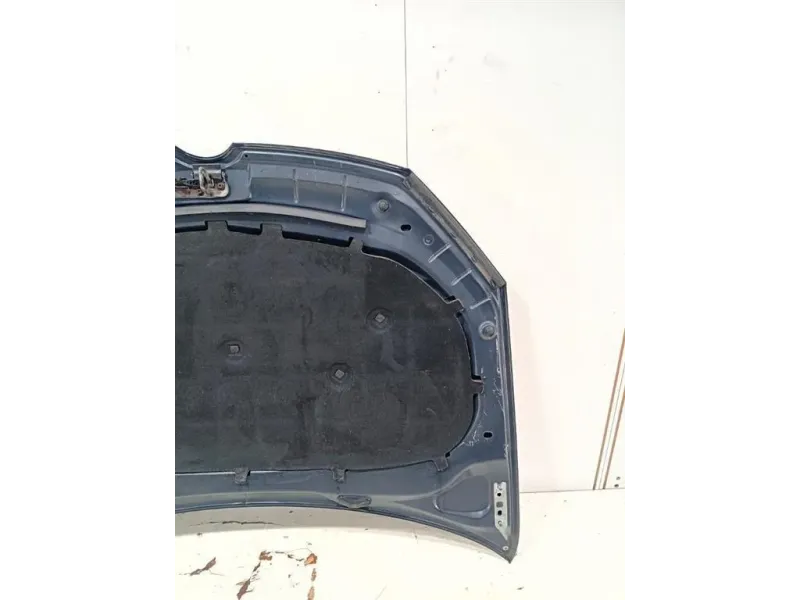 Cofano ANT COFANO ANT Volkswagen GOLF VI 2009