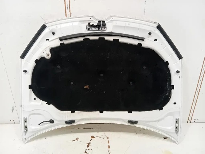 Cofano ANT 5K0823031F Volkswagen GOLF VI 2009