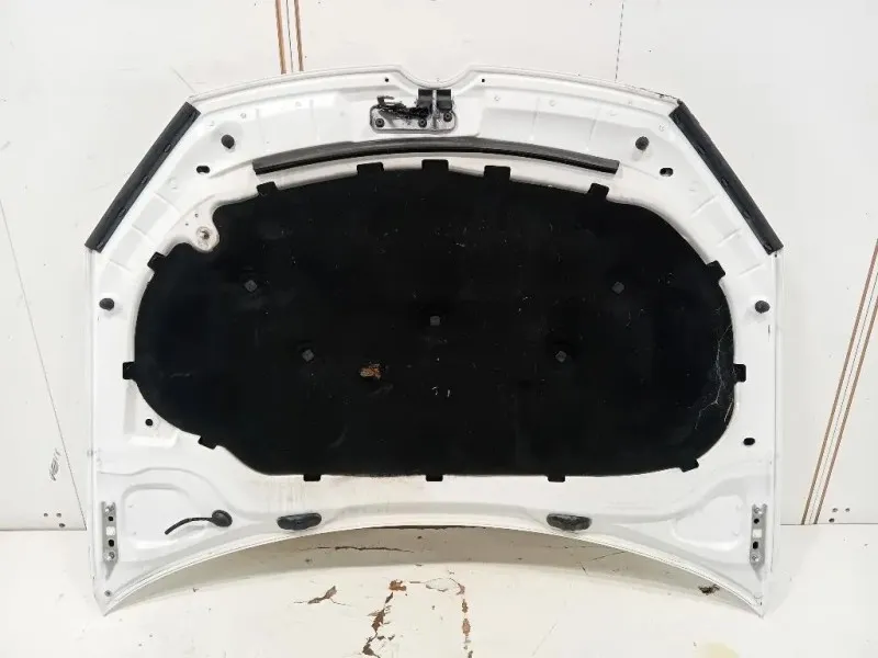 Cofano ANT 5K0823031F Volkswagen GOLF VI 2009