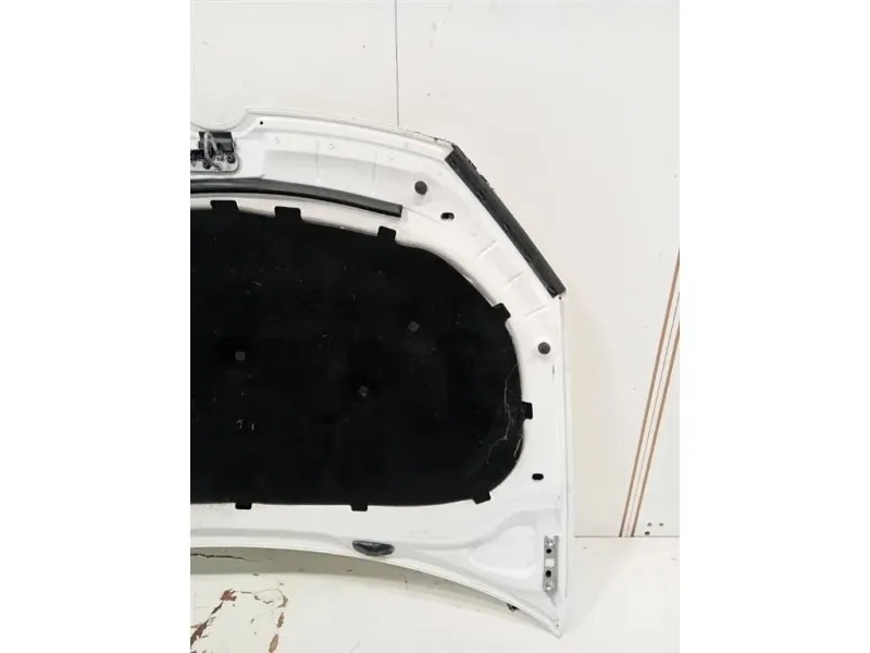 Cofano ANT 5K0823031F Volkswagen GOLF VI 2009