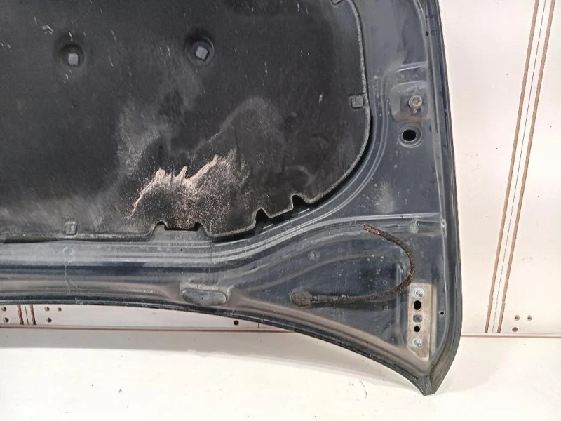 Cofano ANT 5G0823031J Volkswagen GOLF VII 2013