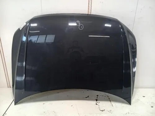 Cofano ANT 5NA823031L Volkswagen Tiguan II 2020