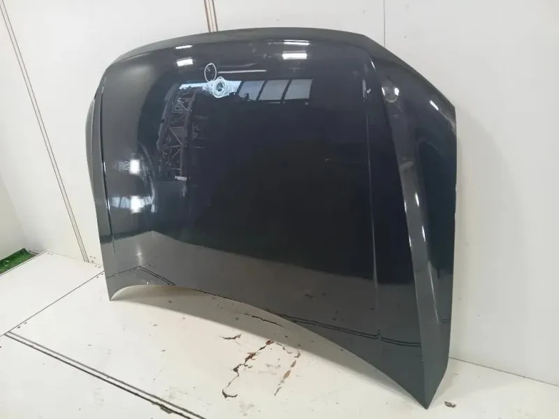 Cofano ANT 5NA823031L Volkswagen Tiguan II 2020