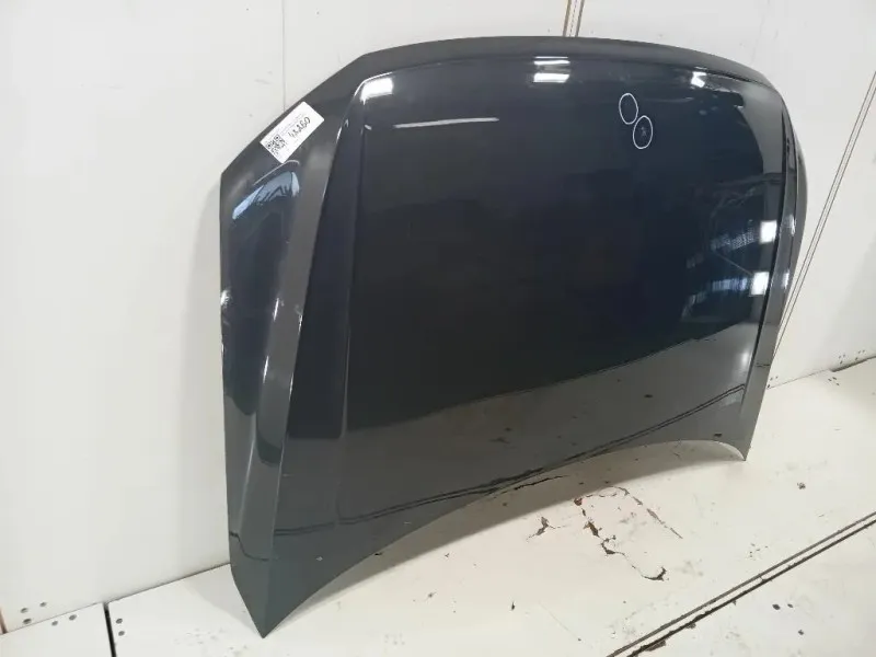 Cofano ANT 5NA823031L Volkswagen Tiguan II 2020