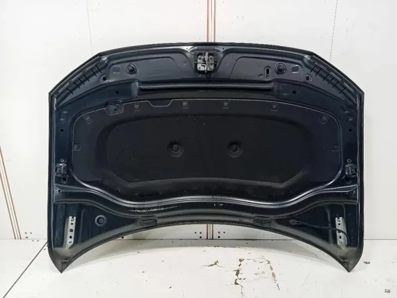 Cofano ANT 5NA823031L Volkswagen Tiguan II 2020