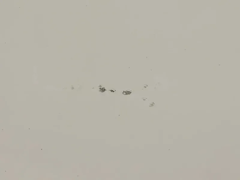 Cofano ANT 31371415 Volvo V50 2004