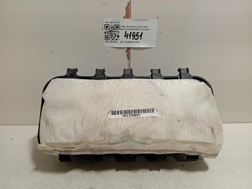 Air-bag Passeggero