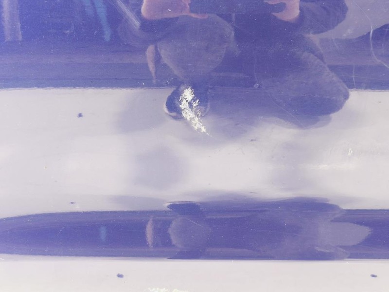 Porta ANT SX H0101HV0MB Nissan Qashqai II 2014