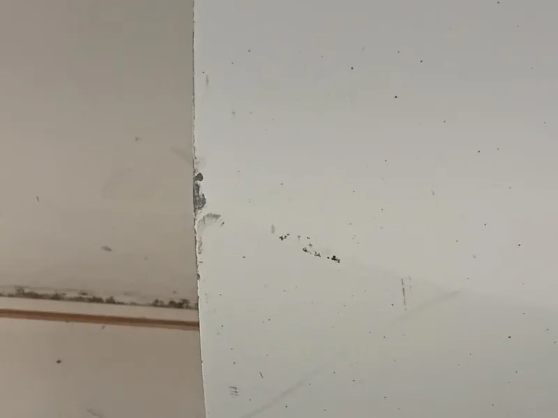 Porta ANT SX 95519691 Opel Combo D 2012