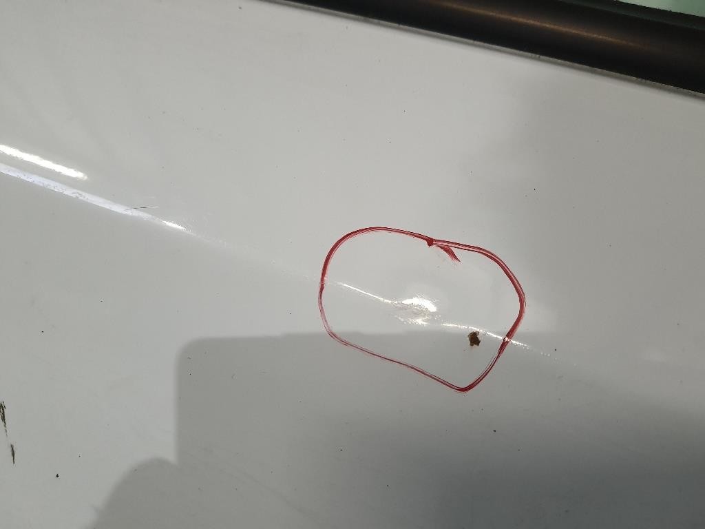 Porta ANT SX NUDA 801015880R Renault Kangoo III 2008