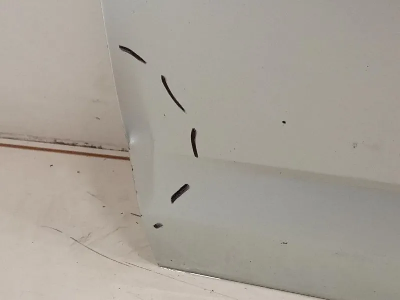 Porta ANT SX 5E0831055A Skoda Octavia 5E3 2017