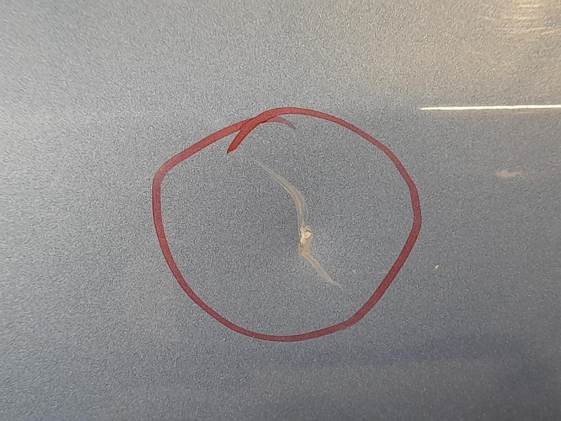 Porta ANT SX 6700247071 Toyota Prius II 2009