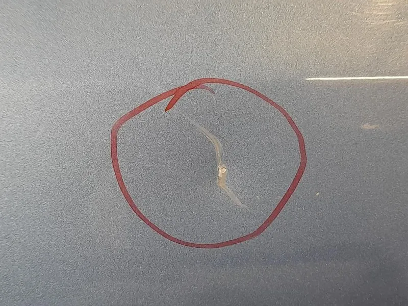 Porta ANT SX 6700247071 Toyota Prius II 2009