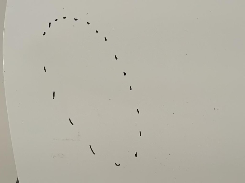 Porta ANT SX 670020D500 Toyota Yaris IV 2012