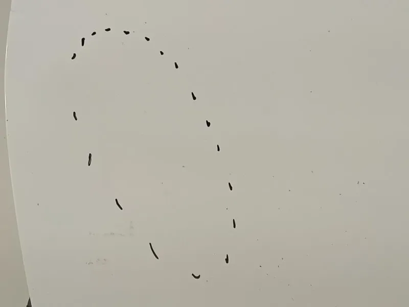 Porta ANT SX 670020D500 Toyota Yaris IV 2012