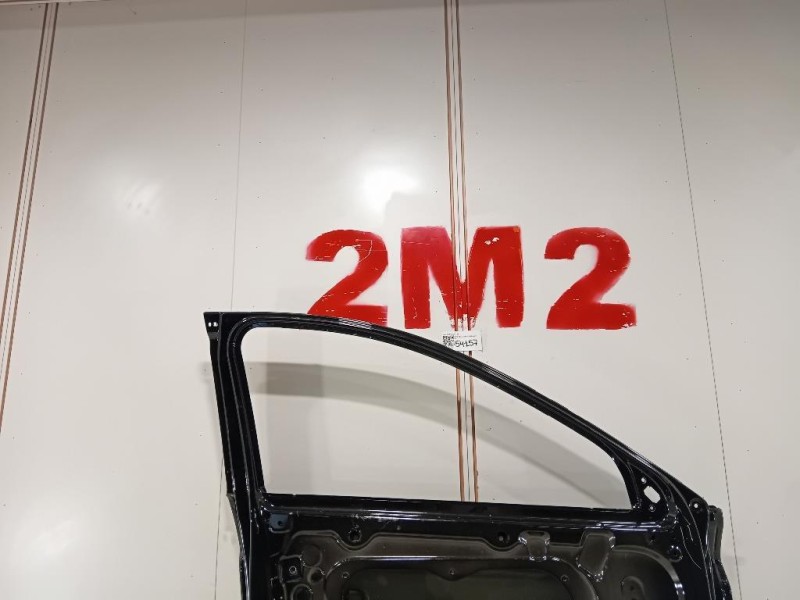 Porta ANT SX BYD SEAL PORTA ANT SX Byd SEAL 2022