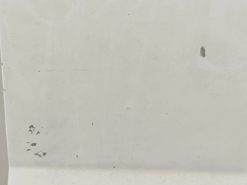 Porta DI Carico POST DX PORTA DI CARICO POST DX Citroen Jumper III 2014