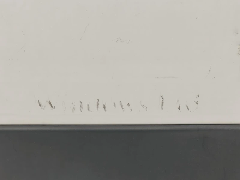 Porta DI Carico POST DX PORTA DI CARICO POST DX Citroen Jumper III 2014