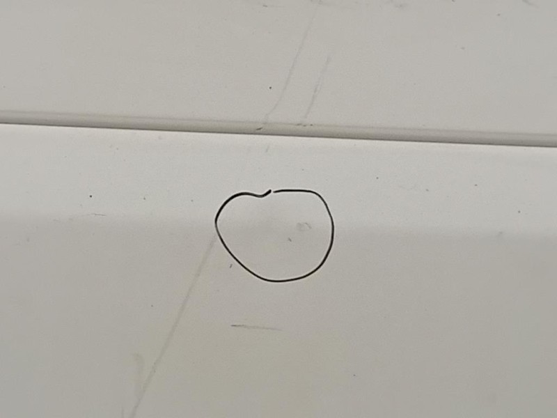 Porta DI Carico POST DX PORTA DI CARICO POST DX Ford Transit IV 2000