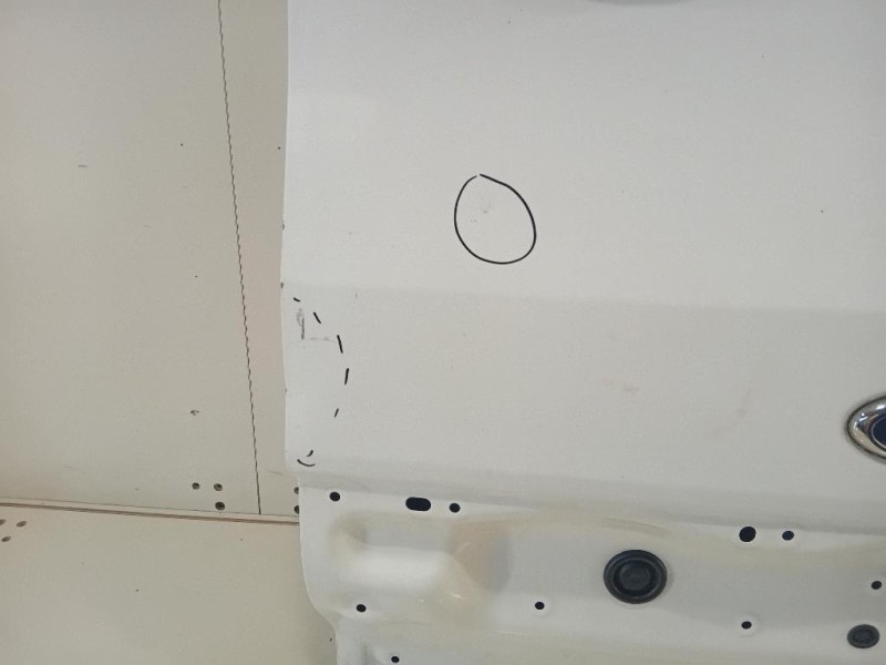 Porta DI Carico POST DX PORTA DI CARICO POST DX PASSO ALTO Ford Transit VI 2014