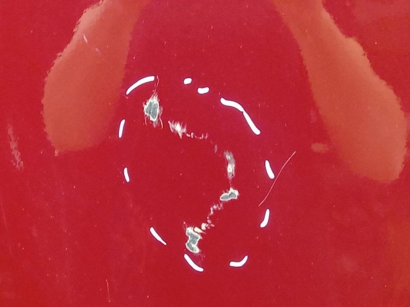 Porta DI Carico POST DX 2561780 Ford Transit VI 2019