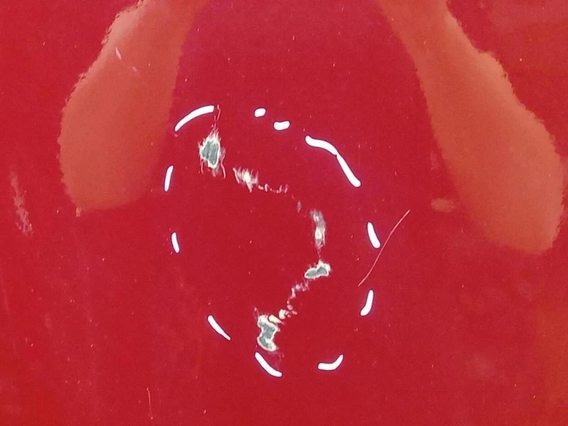 Porta DI Carico POST DX 2561780 Ford Transit VI 2019