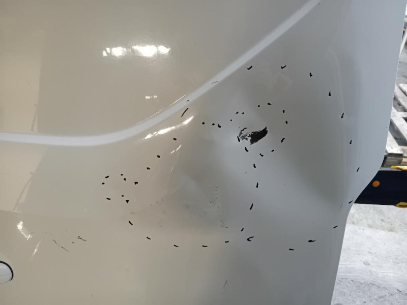 Porta DI Carico POST DX PORTA DI CARICO POST DX Ford Transit Custom I 2013