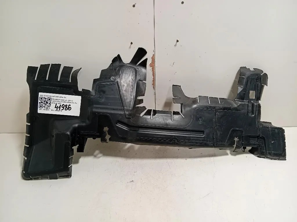 Convogliatore ARIA DX 9813328780 Peugeot 5008 II 2017