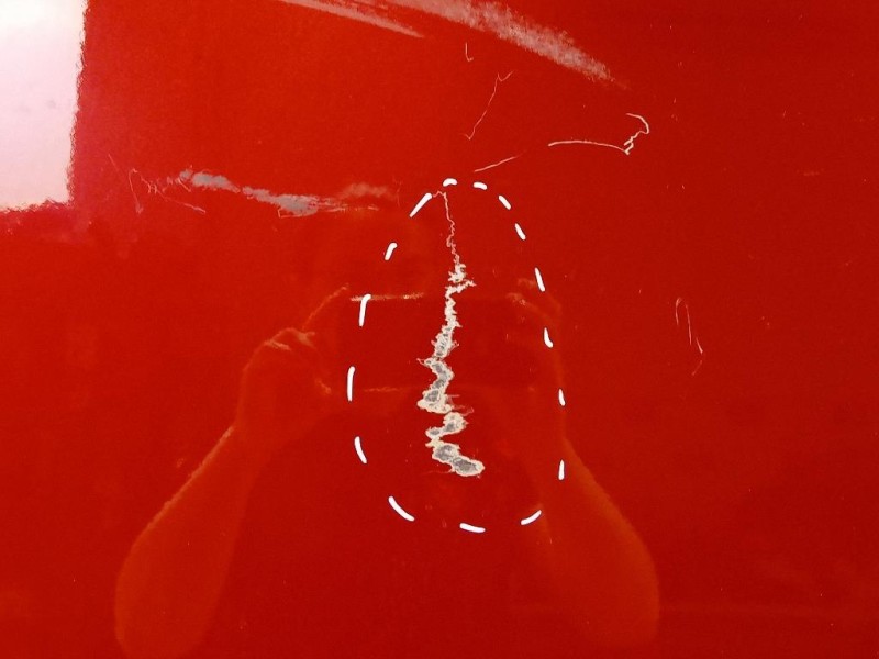 Porta DI Carico POST SX 2446970 Ford Transit VI 2019