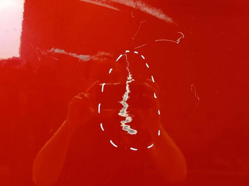 Porta DI Carico POST SX 2446970 Ford Transit VI 2019