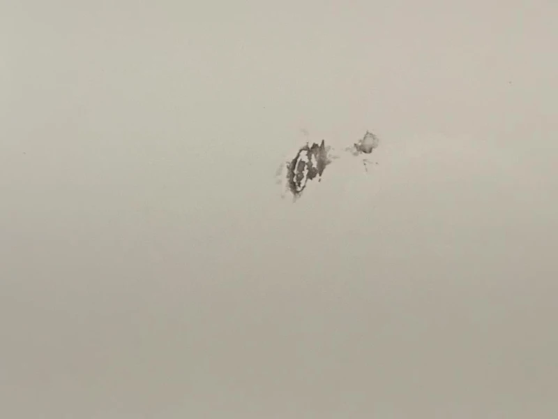 Porta DI Carico POST SX PORTA DI CARICO POST SX Peugeot Boxer III 2014