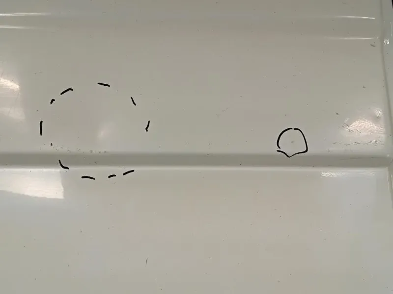 Porta DI Carico POST SX PORTA DI CARICO POST SX Renault Master IV 2010