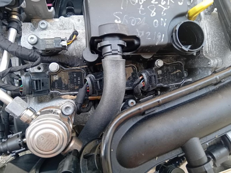 Motore Completo DLAA 110 CV 80 KW Seat Ibiza VI KJ1 2017