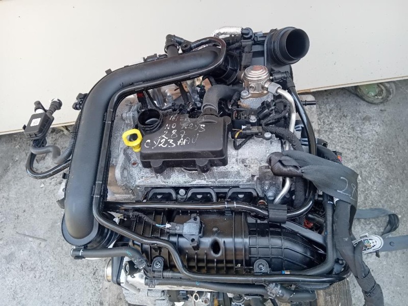 Motore Completo DLAA 110 CV 80 KW Seat Ibiza VI KJ1 2017