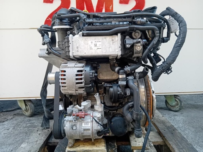 Motore Completo DLAA 110 CV 80 KW Seat Ibiza VI KJ1 2017