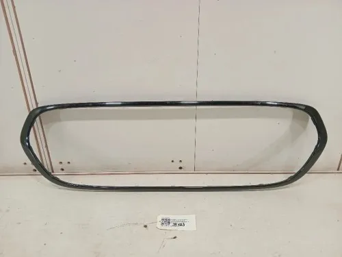 Copertura Interna Griglia Radiatore ANT 7449207 Mini MINI ONE F55 2014