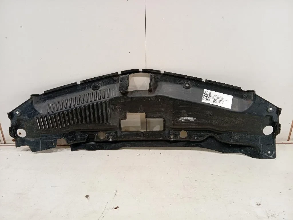 Copertura Interna Griglia Radiatore ANT 95079808 Opel Mokka 2013