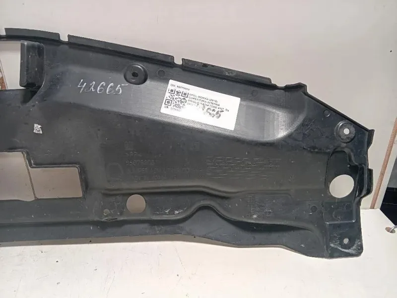 Copertura Interna Griglia Radiatore ANT 95079808 Opel Mokka 2013