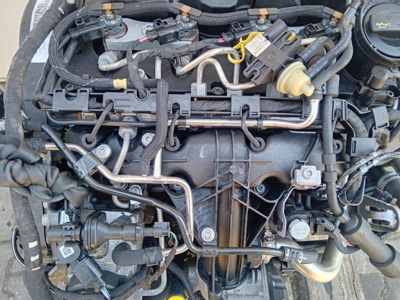 Copertura Interna Paraurti Passaruota POST SX DB5J50351 Mazda 2 III 2014